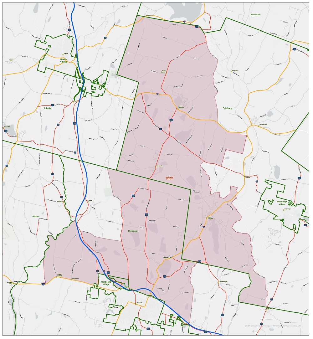 District 8 Map