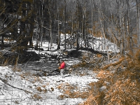 Dry Dock in Sullivan County