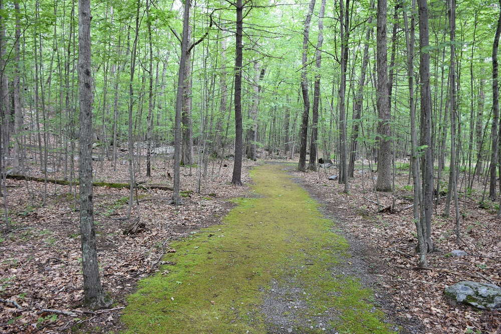 Minisink Battleground Park Trail