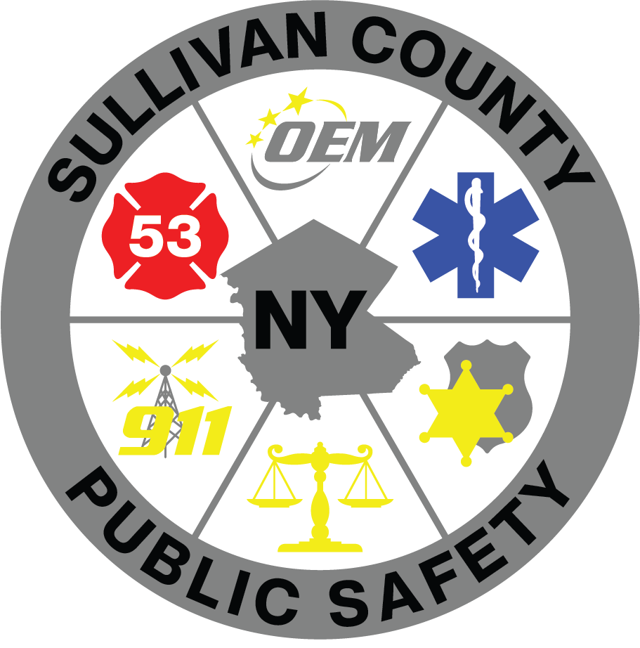 Public Safety Logo