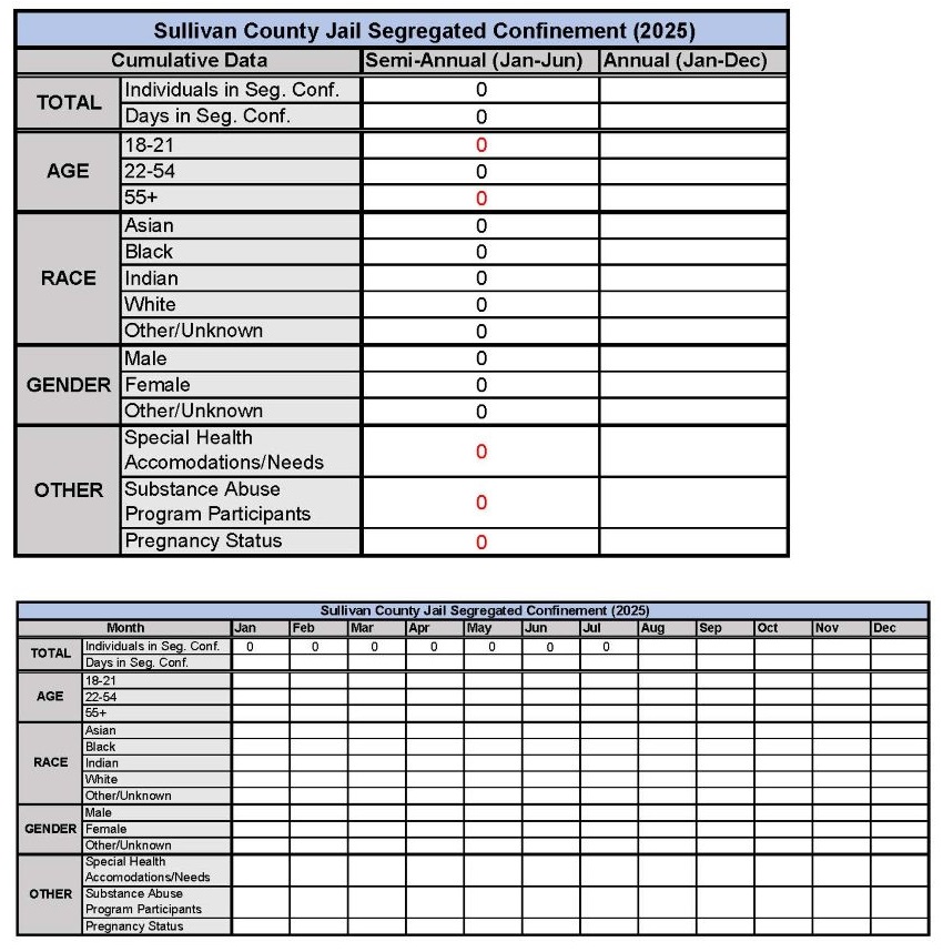 Segregated Confinement Facility Reporting 2025