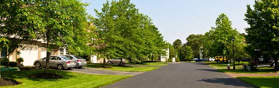 View of neighborhood street