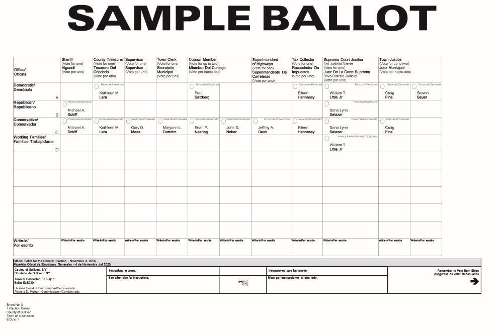 Cochecton Sample Ballot - Page 1
