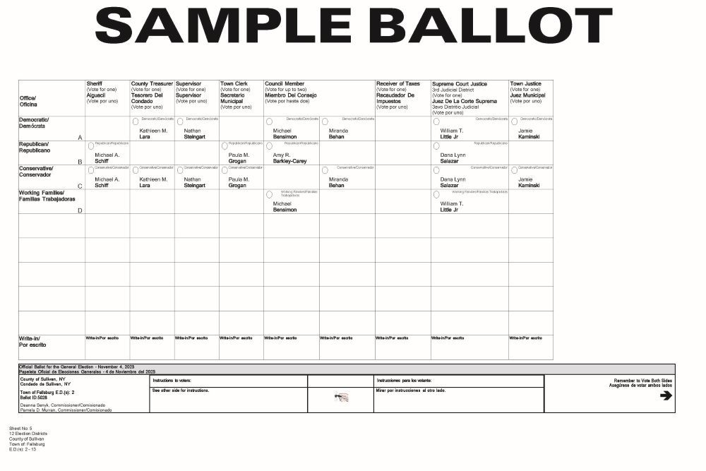 Fallsburg Sample Ballot - Page 1 (not including Woodridge)