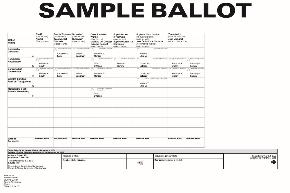 Mamakating Ward 3 Sample Ballot - Page 1