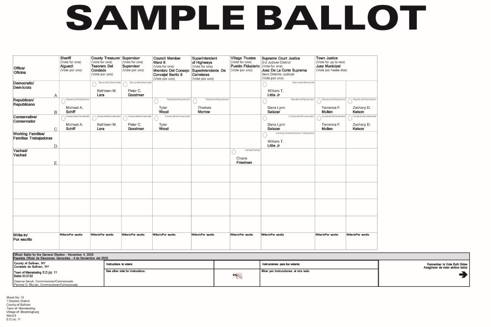 Mamakating Ward 6 (Bloomingburg) Sample Ballot - Page 1