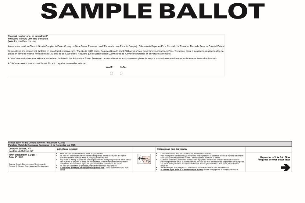 Neversink Sample Ballot - Page 2