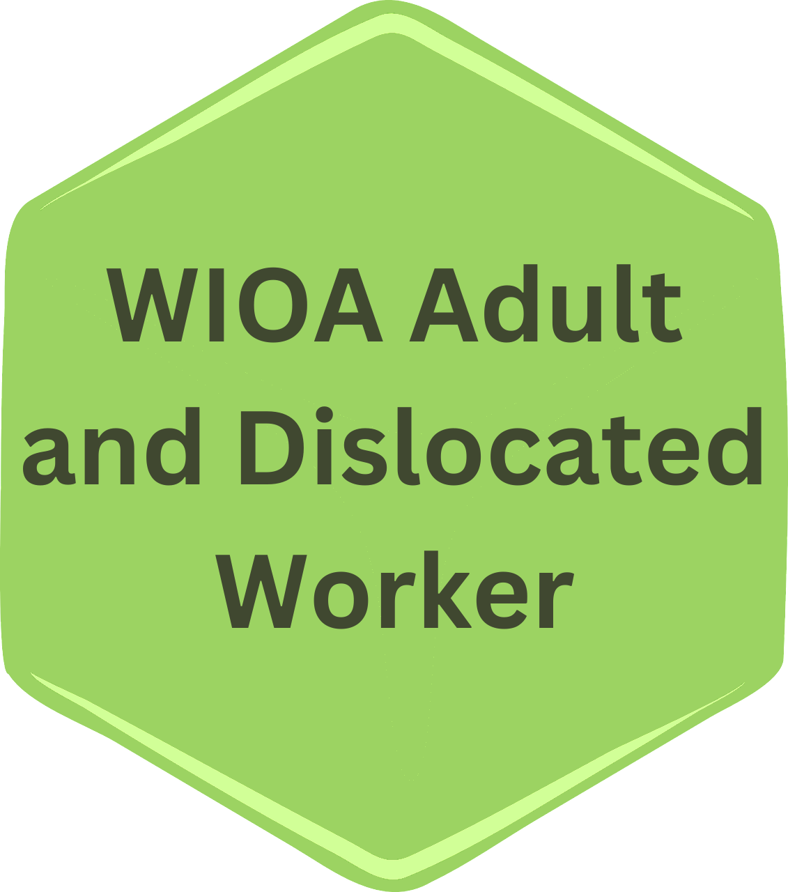 WIOA Adult Policies