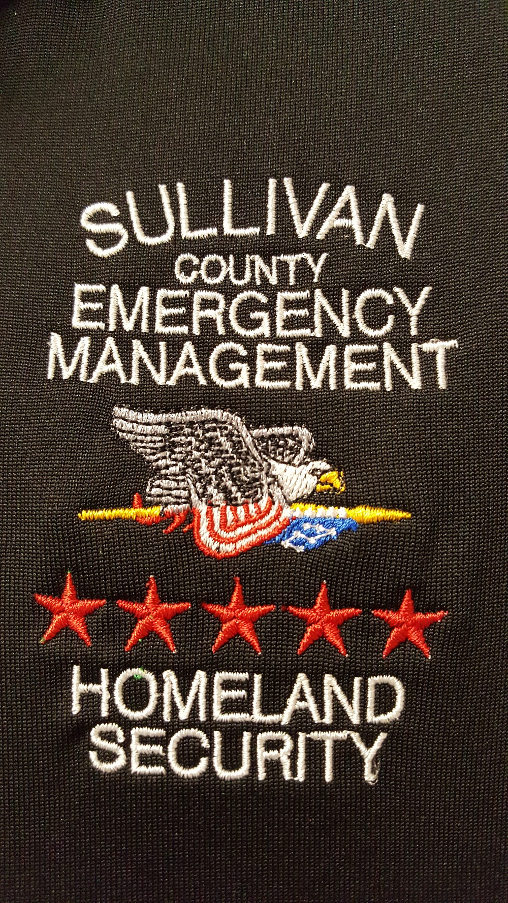 Homeland Security Logo