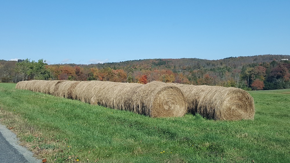 farm field