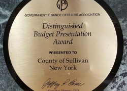 Budget Award