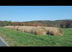 farm field