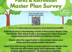 Parks Survey Flyer