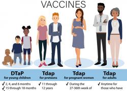 Whooping Cough Info